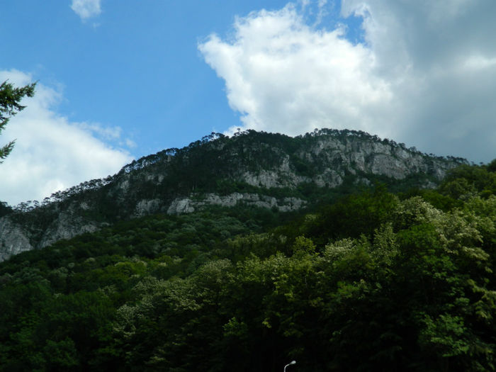 DSCN6100