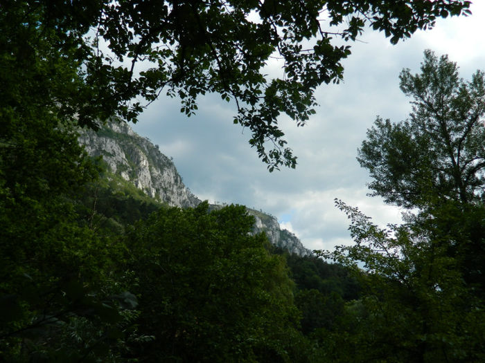 DSCN6101