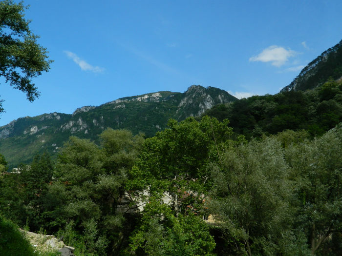 DSCN6104