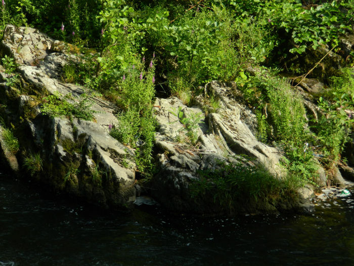 DSCN6108