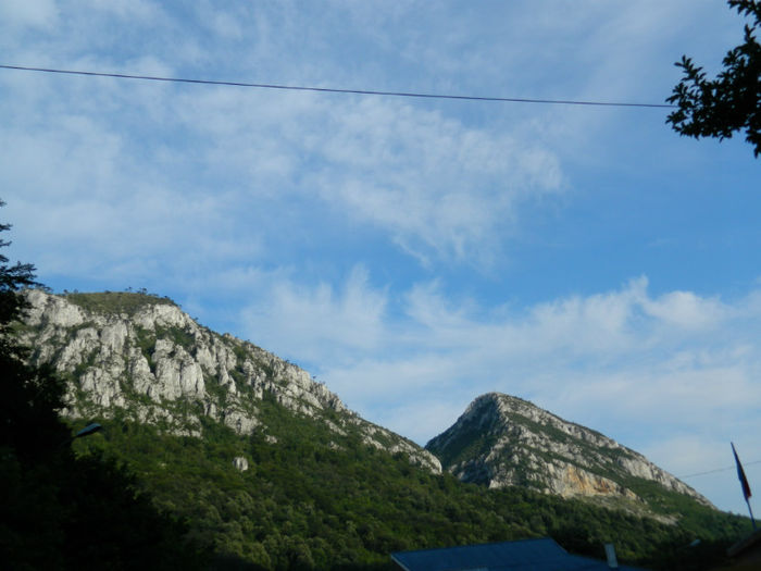 DSCN6111