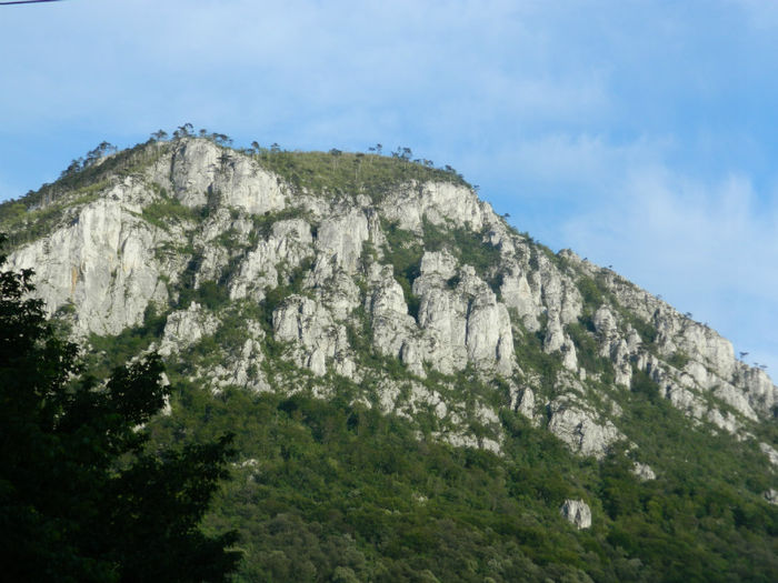 DSCN6112