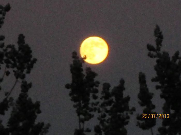 IMG_6275 - Cer de iulie