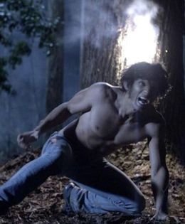 Teen_Wolf_1301498007_1_2010