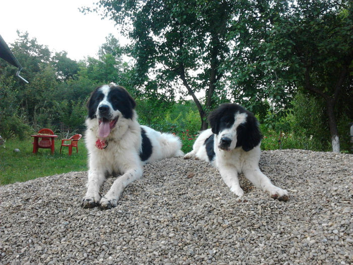 2013-07-24 19.46.06 - Molda