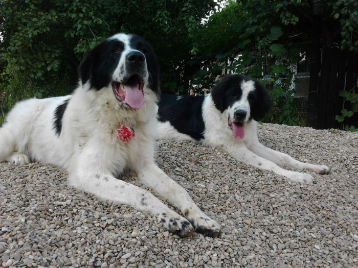 2013-07-24 19.46.41 - Molda