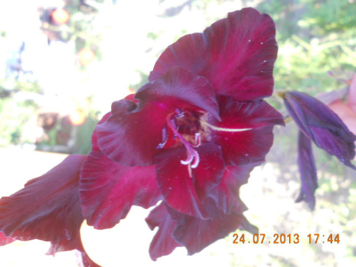 DSCN3888