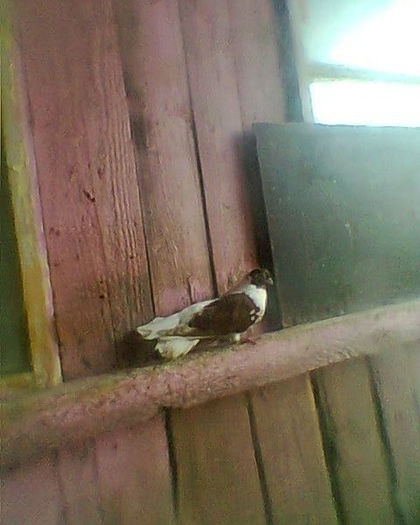 Fotogr.0201