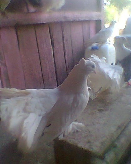 Fotogr.0207
