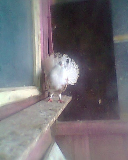 Fotogr.0210