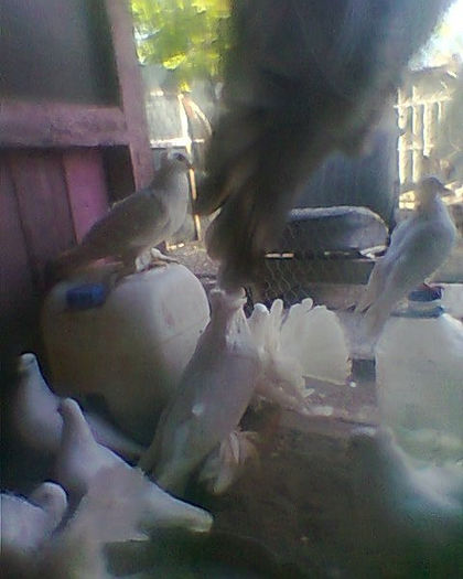 Fotogr.0212