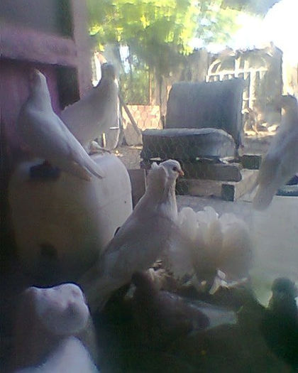Fotogr.0213