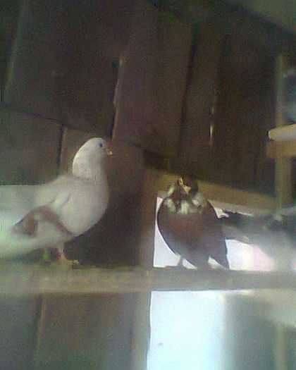 Fotogr.0226