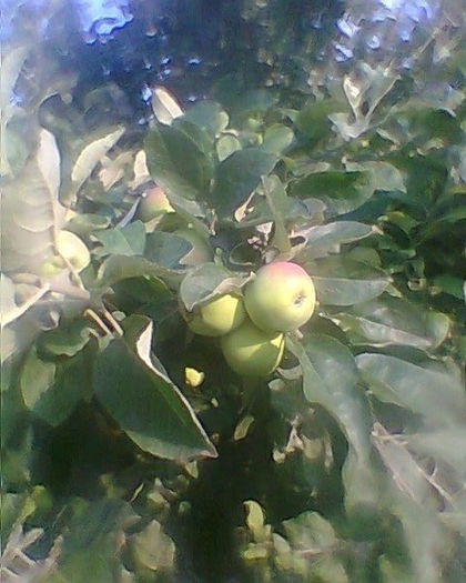 Fotogr.0228