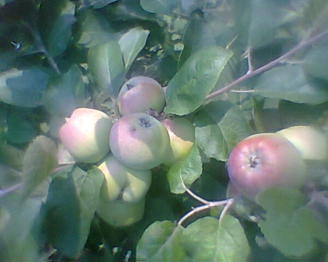 Fotogr.0229