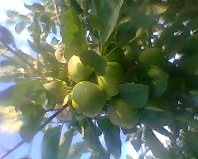 Fotogr.0230