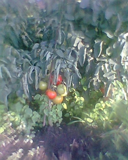 Fotogr.0234