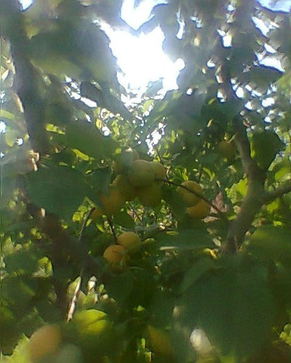 Fotogr.0235