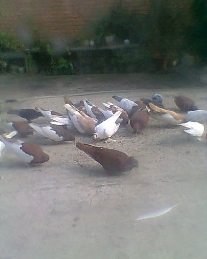 Fotogr.0236