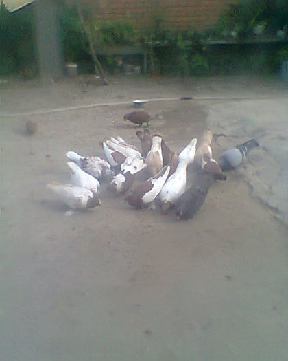 Fotogr.0244