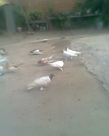 Fotogr.0246