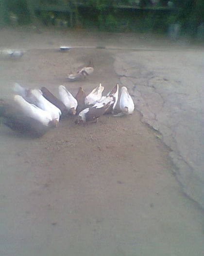 Fotogr.0247
