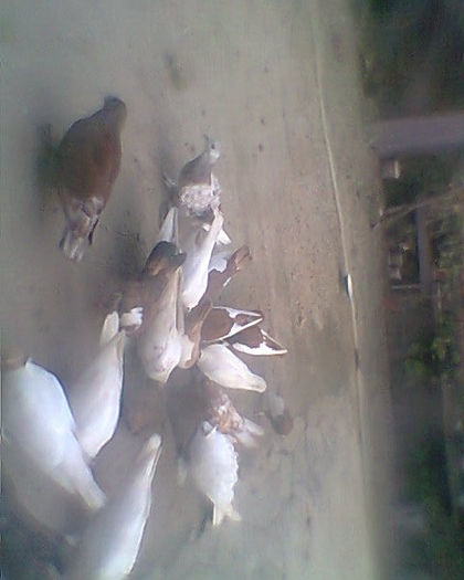 Fotogr.0248