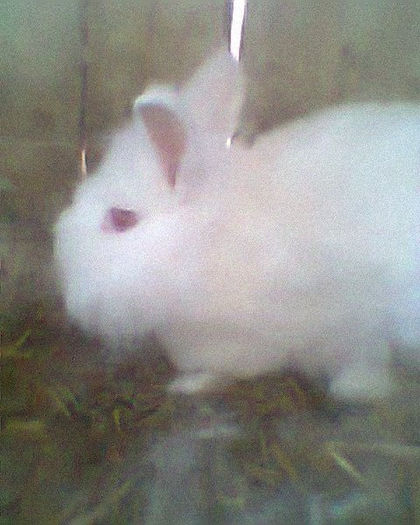 Fotogr.0251