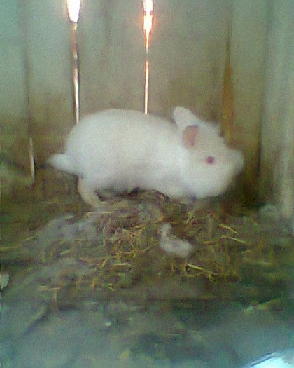 Fotogr.0252