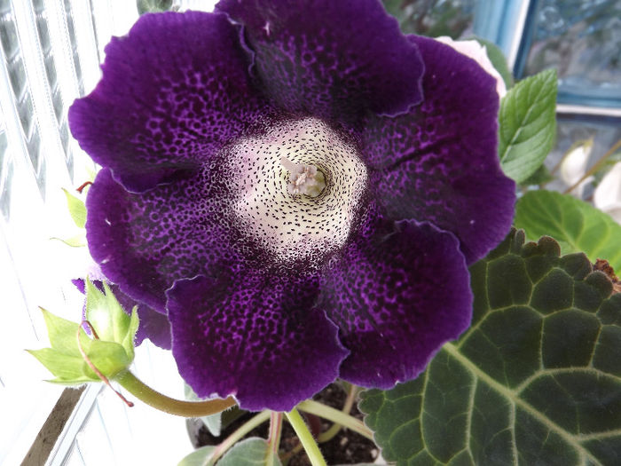 DSCF0720