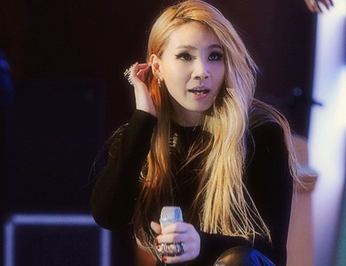 2NE1-at-the-2013-Severance-Love-Sharing-Concert-2ne1-33848454-500-384