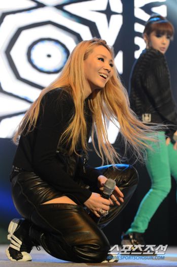 2NE1-at-the-2013-Severance-Love-Sharing-Concert-2ne1-33848551-540-810 - 2ne1 6