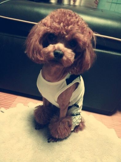 medium_KOORdP - 2ne1 6