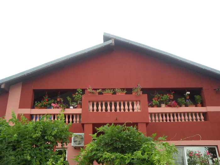 p 019 - Curtea si gradina