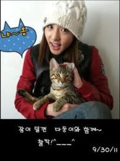 images (4)