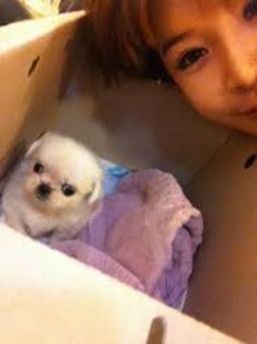 images (9)