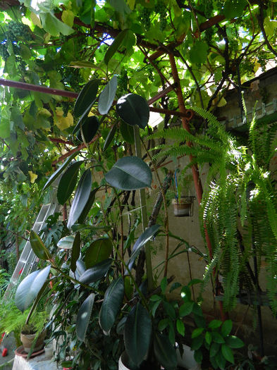 DSCN8194 - Gradinita dupa vacanta din iulie 2013