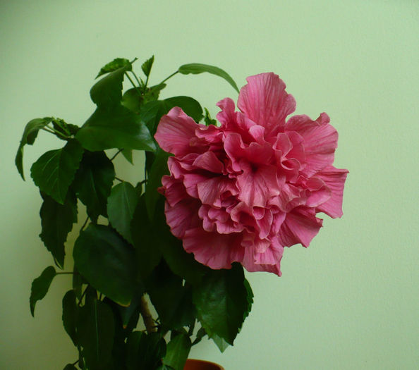 P1460570