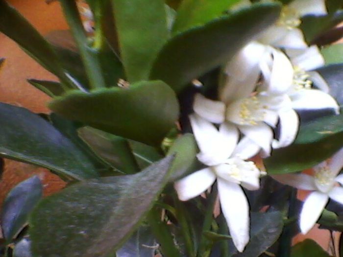 Photo-0141