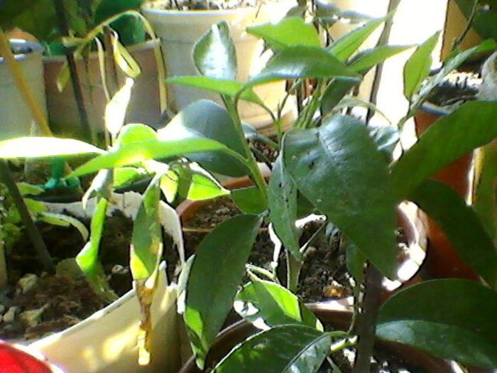 Photo-0142