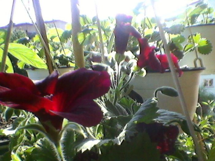 Photo-0143