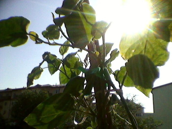 Photo-0149