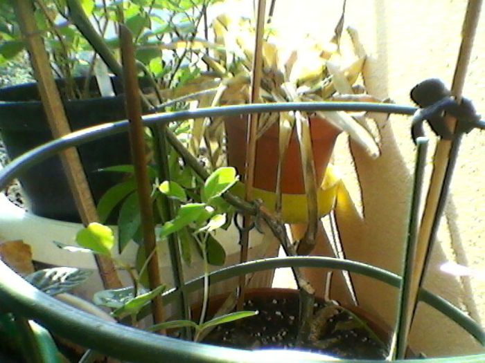 Photo-0151