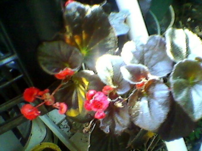 Photo-0153