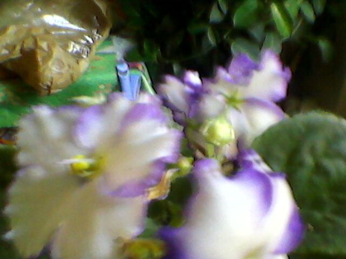 Photo-0160
