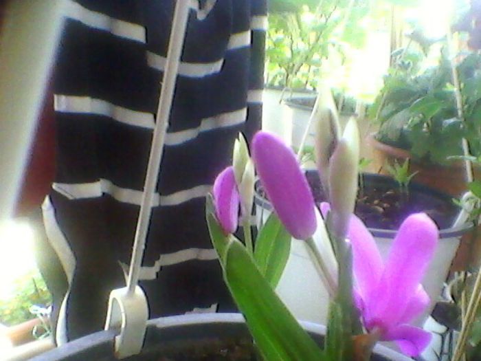 Photo-0163
