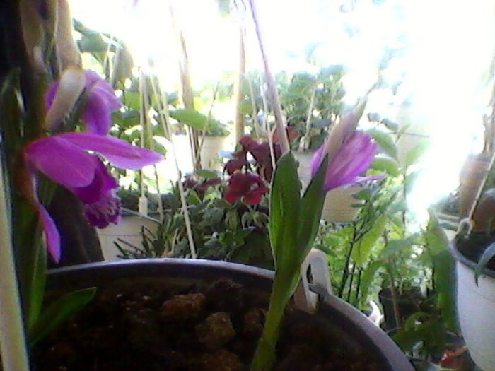 Photo-0166