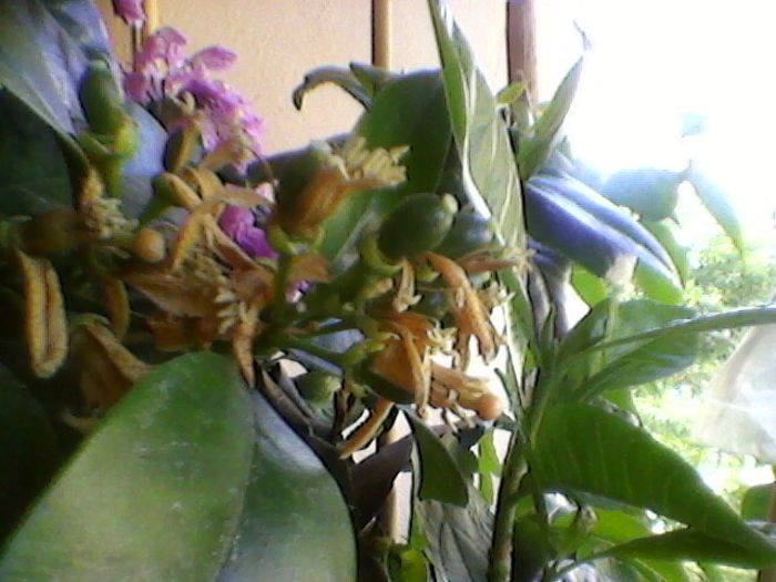 Photo-0169