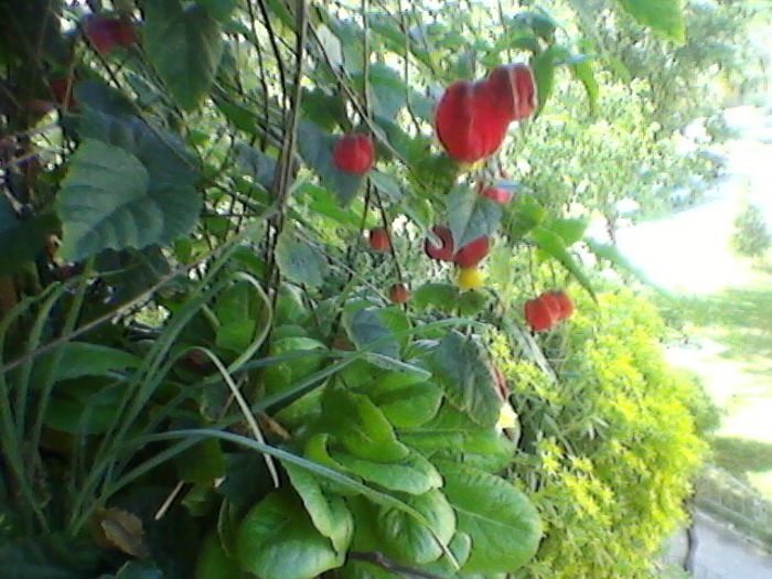 Photo-0170