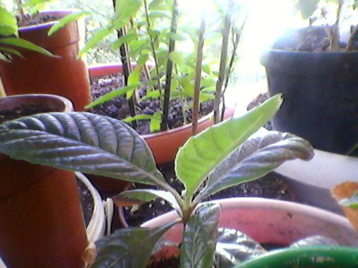 Photo-0176